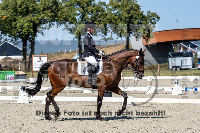 Kronenberg - De Peelbergen (August 2020)