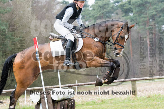 Jungpferdetag Hamminkeln