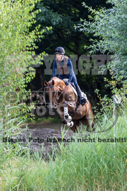 Late-Entry Vielseitigkeit Hamminkeln/Wesel (01.+02.08.2020)