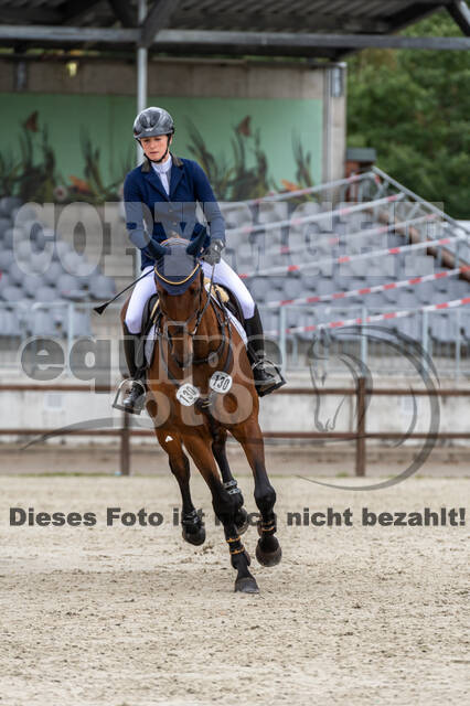 Deutsche Meisterschaft Vielseitigkeit (Luhmühlen)
