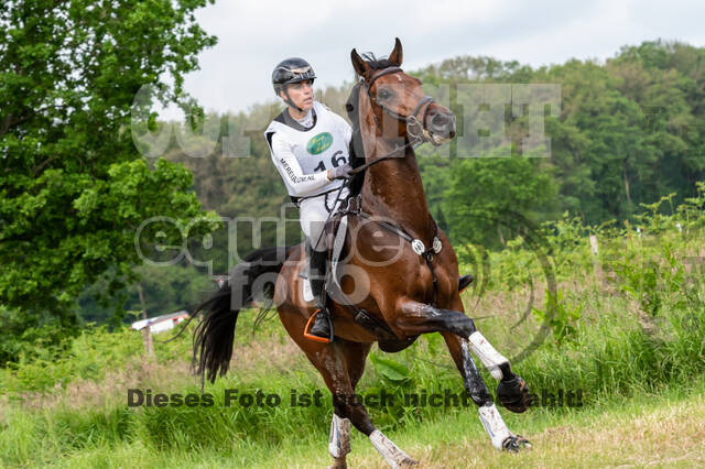 Westerstede Horse Trials 2021