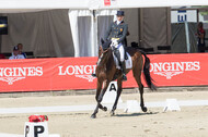FEI European Championship Eventing 2017