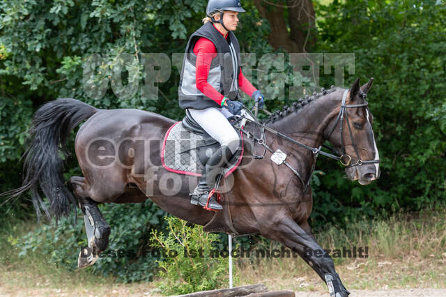 Late-Entry-Vielseitigkeit Langenfeld (11.+13./14.06.2020)