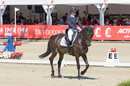 FEI European Championship