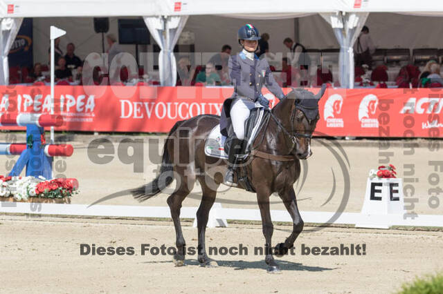 FEI European Championship