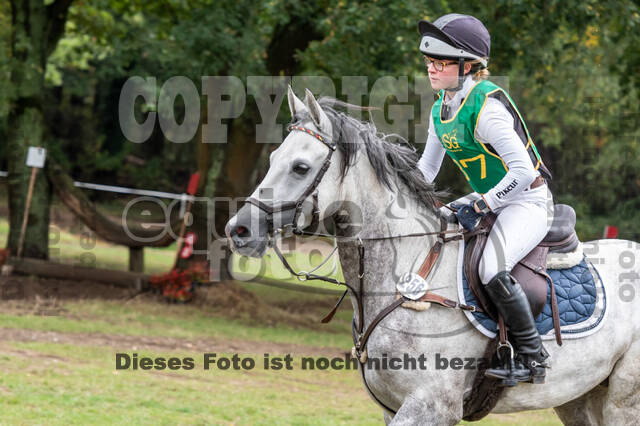 Vielseitigkeit RSV Wesel Obrighoven (26.+27.09.2020)