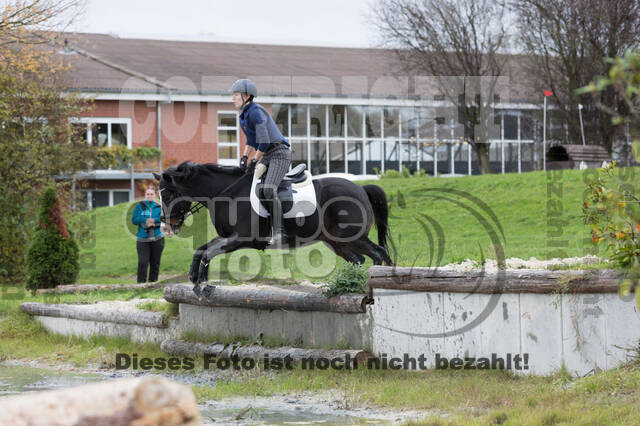 IGV Lehrgang der Sieger der Cups mit Frank Ostholt