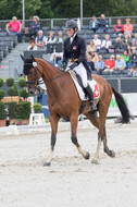 FEI European Championship Eventing 2019