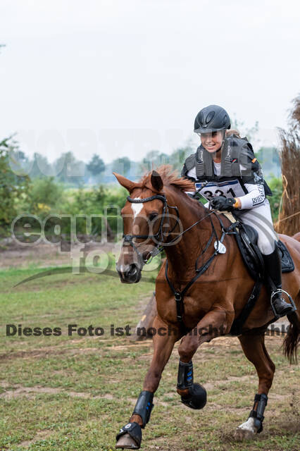 De Peelbergen (August 2020)