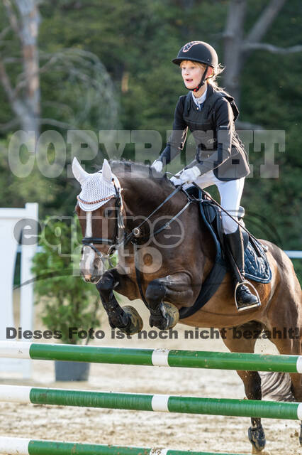 RFV Dinslaken-Hiesfeld (Herbstturnier)