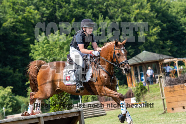 Goldene Schärpe 2021 - Ponys