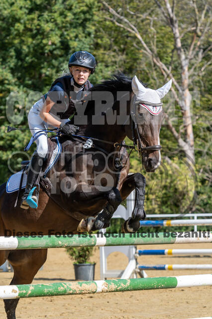 RFV Dinslaken-Hiesfeld (Herbstturnier)