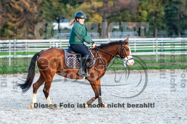 IGV Lehrgang der Sieger der Cups mit Frank Ostholt