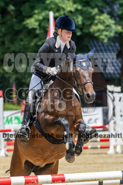 Goldene Schärpe 2021 - Ponys