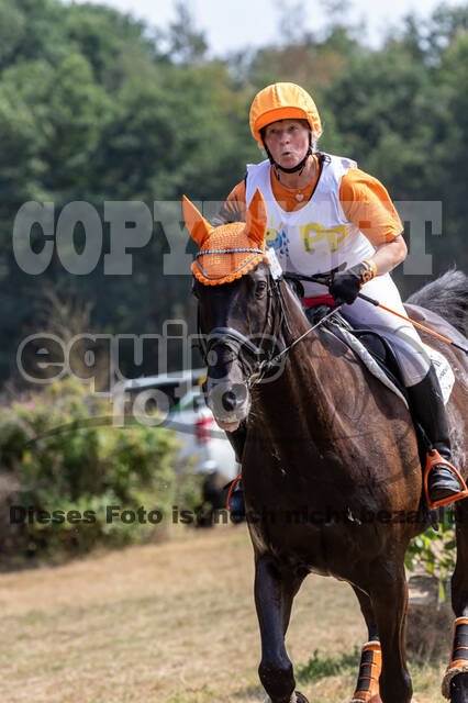 Late-Entry Vielseitigkeit Hamminkeln/Wesel (01.+02.08.2020)