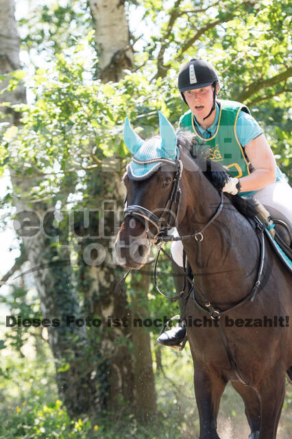 Vielseitigkeitsturnier ZRuFV von Lützow Hamminkeln