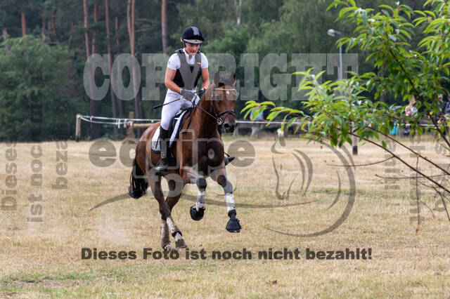 Late-Entry Vielseitigkeit Hamminkeln/Wesel (01.+02.08.2020)