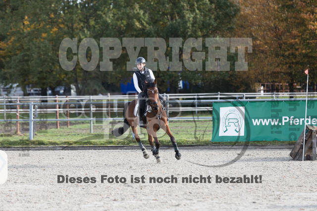 IGV Lehrgang der Sieger der Cups mit Frank Ostholt