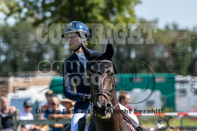 Kronenberg - De Peelbergen (August 2020)