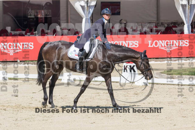 FEI European Championship