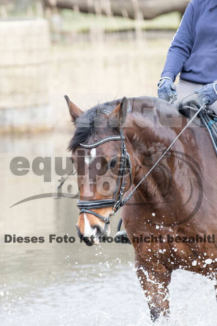 Geländetrainings RSV St. Hubertus Wesel Obrighoven