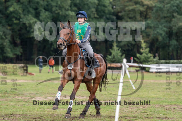 Vielseitigkeit RSV Wesel Obrighoven (26.+27.09.2020)