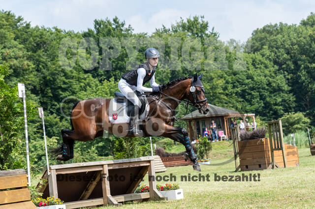 Goldene Schärpe 2021 - Ponys