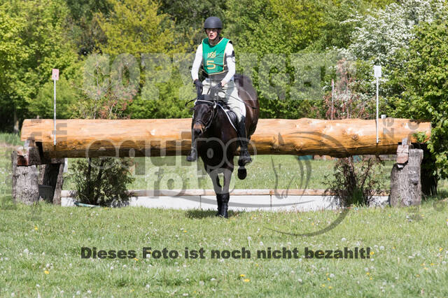 Sterne über Münster 2019 - CCI***S