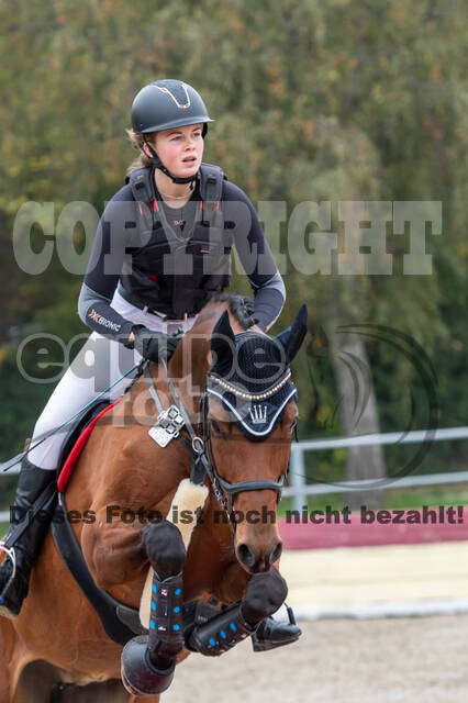 Goldene Schärpe 2020 - Pferde