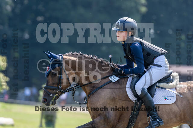 Goldene Schärpe 2021 - Ponys