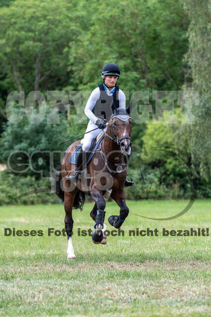 Bonn-Rodderberg Late-Entry-Vielseitigkeit (30.06.2020)
