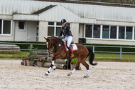 Eventing im Pferdesportzentrum Rheinland (Late Entry 14.03.2022)