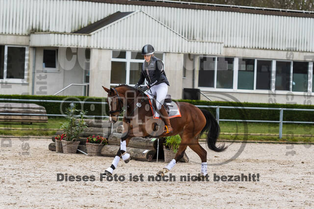 Eventing im Pferdesportzentrum Rheinland (Late Entry 14.03.2022)