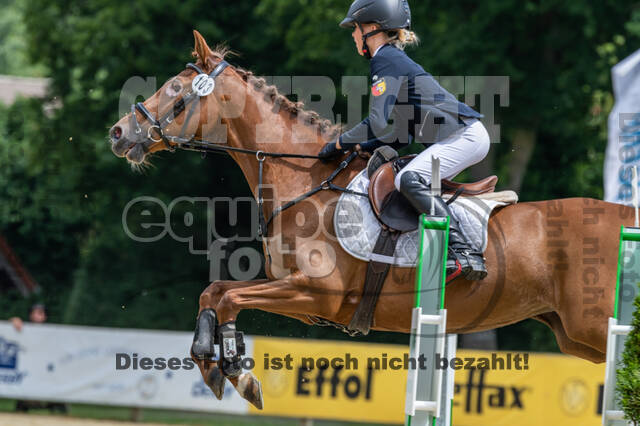 Goldene Schärpe 2021 - Ponys