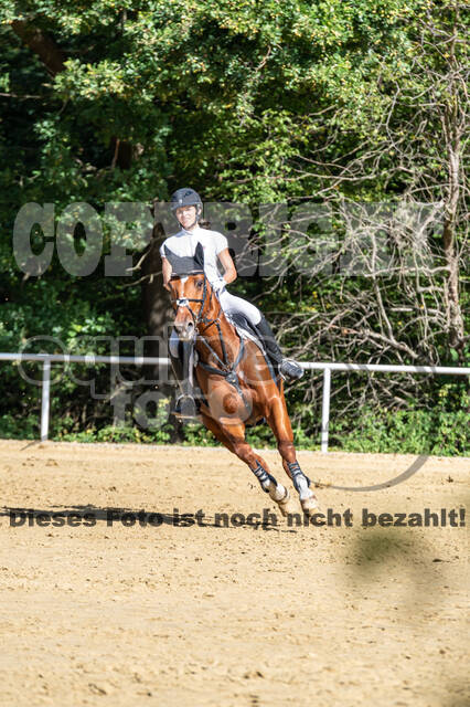 RFV Dinslaken-Hiesfeld (Herbstturnier)