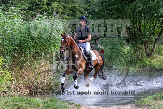 Late-Entry Vielseitigkeit Hamminkeln/Wesel (01.+02.08.2020)