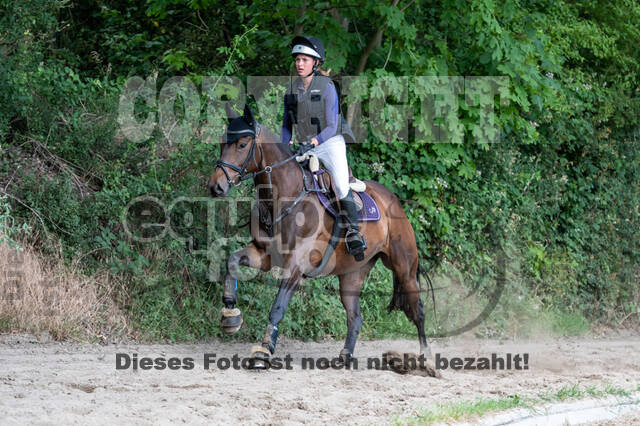 Late-Entry-Vielseitigkeit Langenfeld (11.+13./14.06.2020)