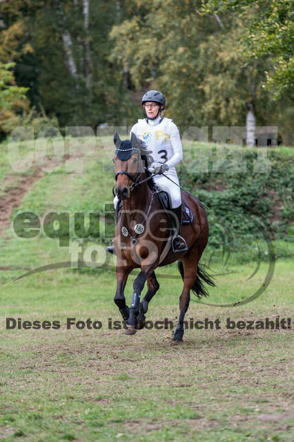 Vielseitigkeit RSV Wesel Obrighoven (26.+27.09.2020)