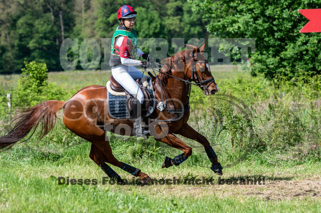 Westerstede Horse Trials (10.-13.06.2021)