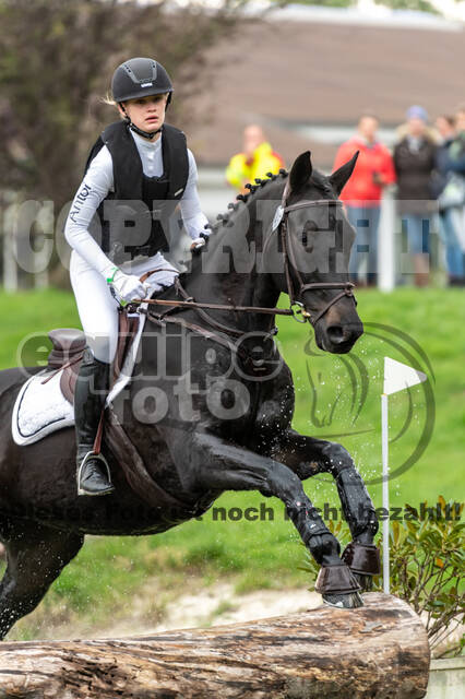 Goldene Schärpe 2020 - Pferde