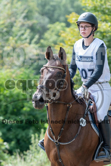 Late-Entry-Vielseitigkeit Gahlen (18.07.2020)