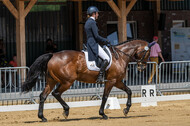 Westerstede Horse Trials 2021