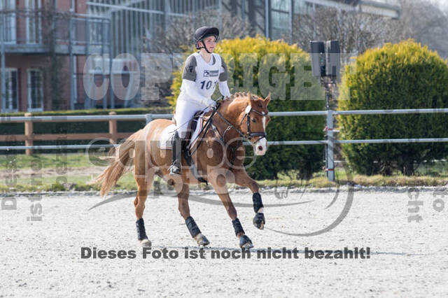 Eventing Langenfeld 2018