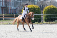 Eventing Langenfeld 2018