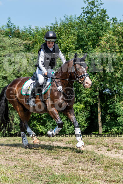 Goldene Schärpe 2021 - Ponys
