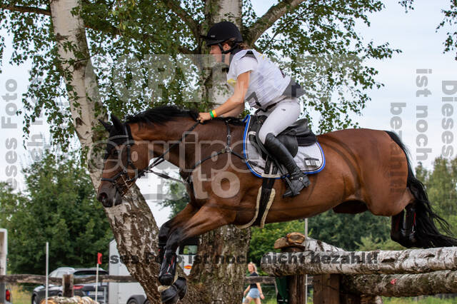 Late-Entry Vielseitigkeit Hamminkeln/Wesel (01.+02.08.2020)