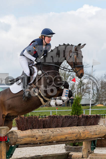 Eventing im Pferdesportzentrum Rheinland (Late Entry 14.03.2022)