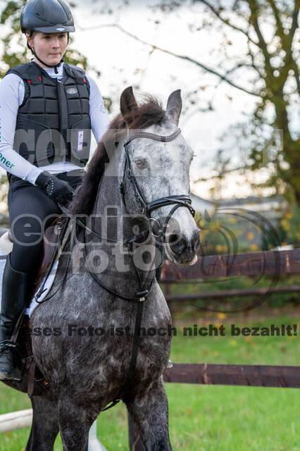 Vielseitigkeitslehrgang mit Jürg Kurbel (9.+10.11.2019)