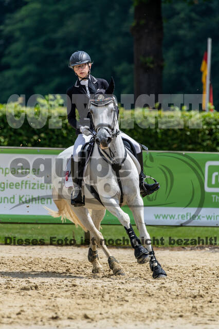 Goldene Schärpe 2021 - Ponys