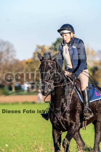 Vielseitigkeitslehrgang mit Jürg Kurbel (9.+10.11.2019)